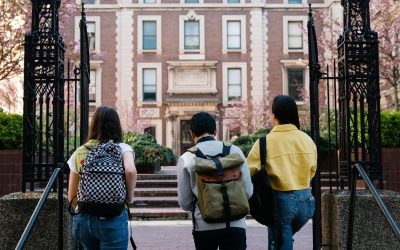 Special Education Substantially Improves Learning: Evidence from Three States